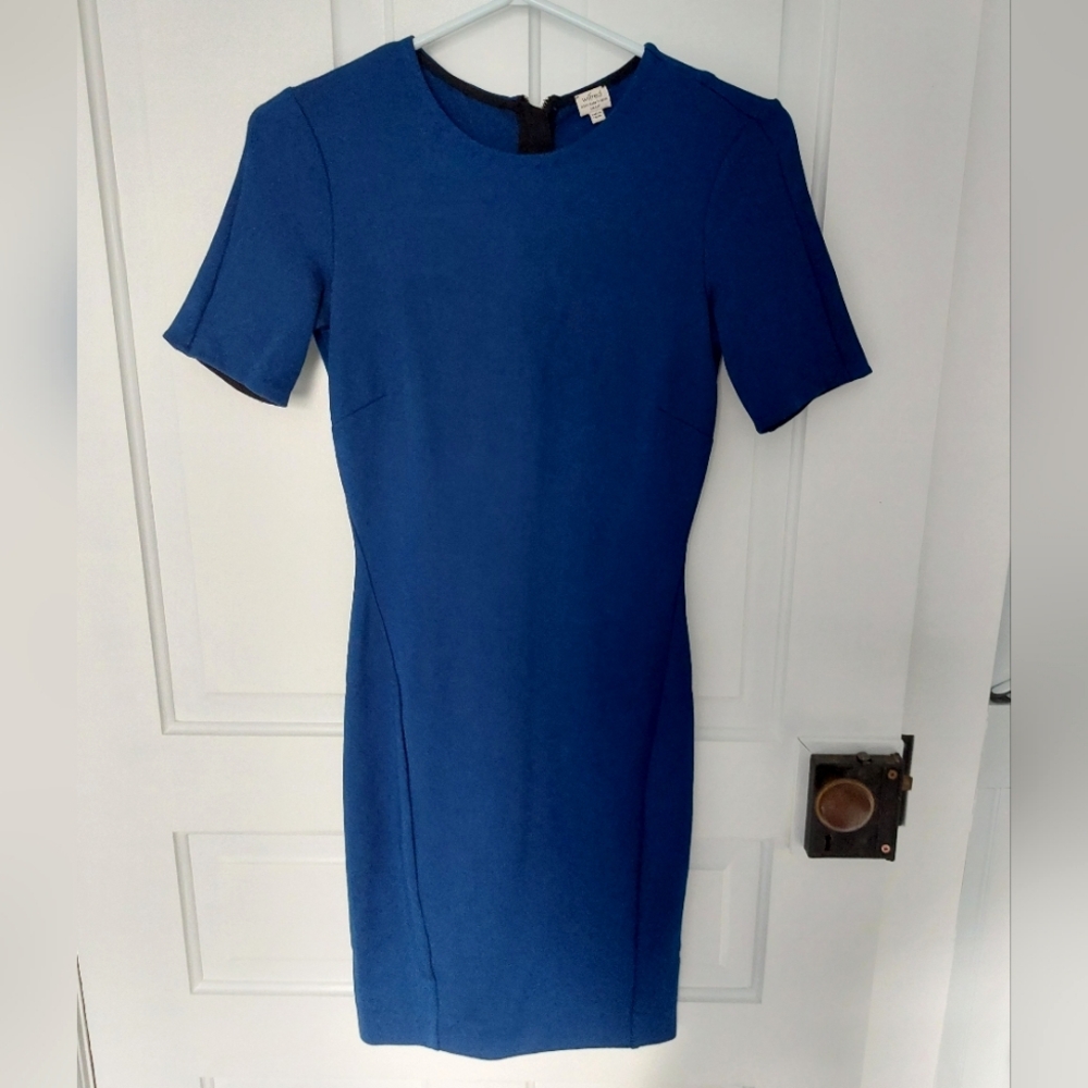 Aritzia (XS / Small) Wilfred Dress